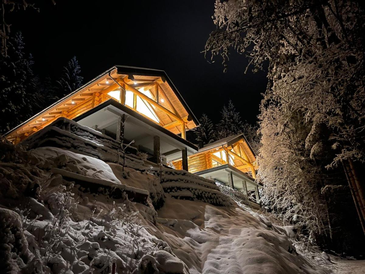 Chalet Deux A 巴德小基希海姆 外观 照片