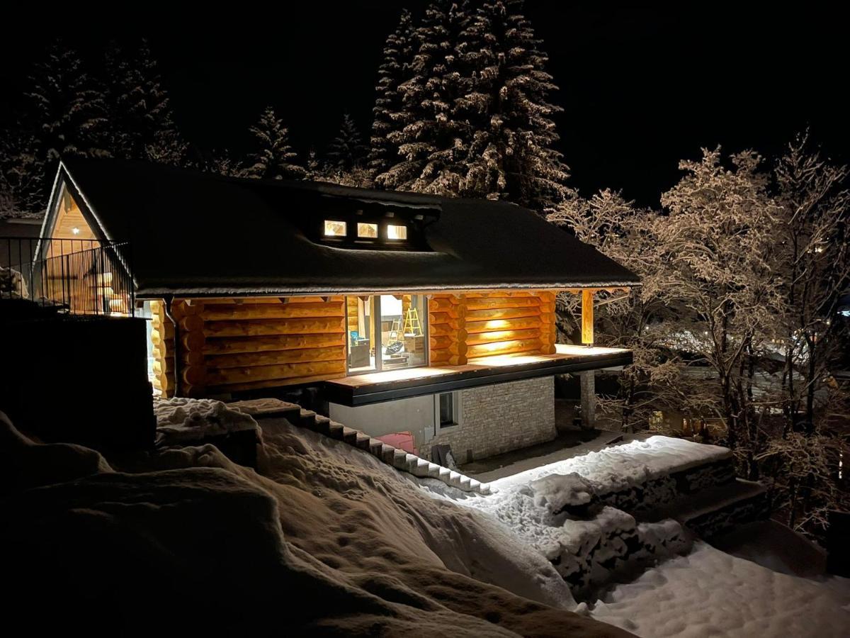Chalet Deux A 巴德小基希海姆 外观 照片
